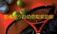 灵魂潮汐自动领取奖励脚本工具 灵魂潮汐初始角色推荐